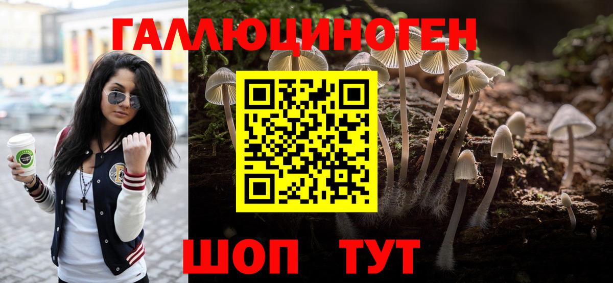 Псилоцибиновые грибы прущие грибы Ноябрьск
